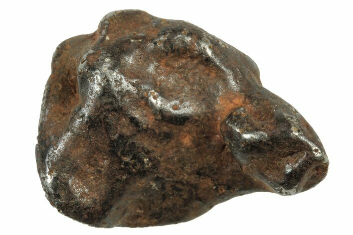 Canyon Diablo Iron Meteorites (6-8 Grams) - Arizona - Photo 1